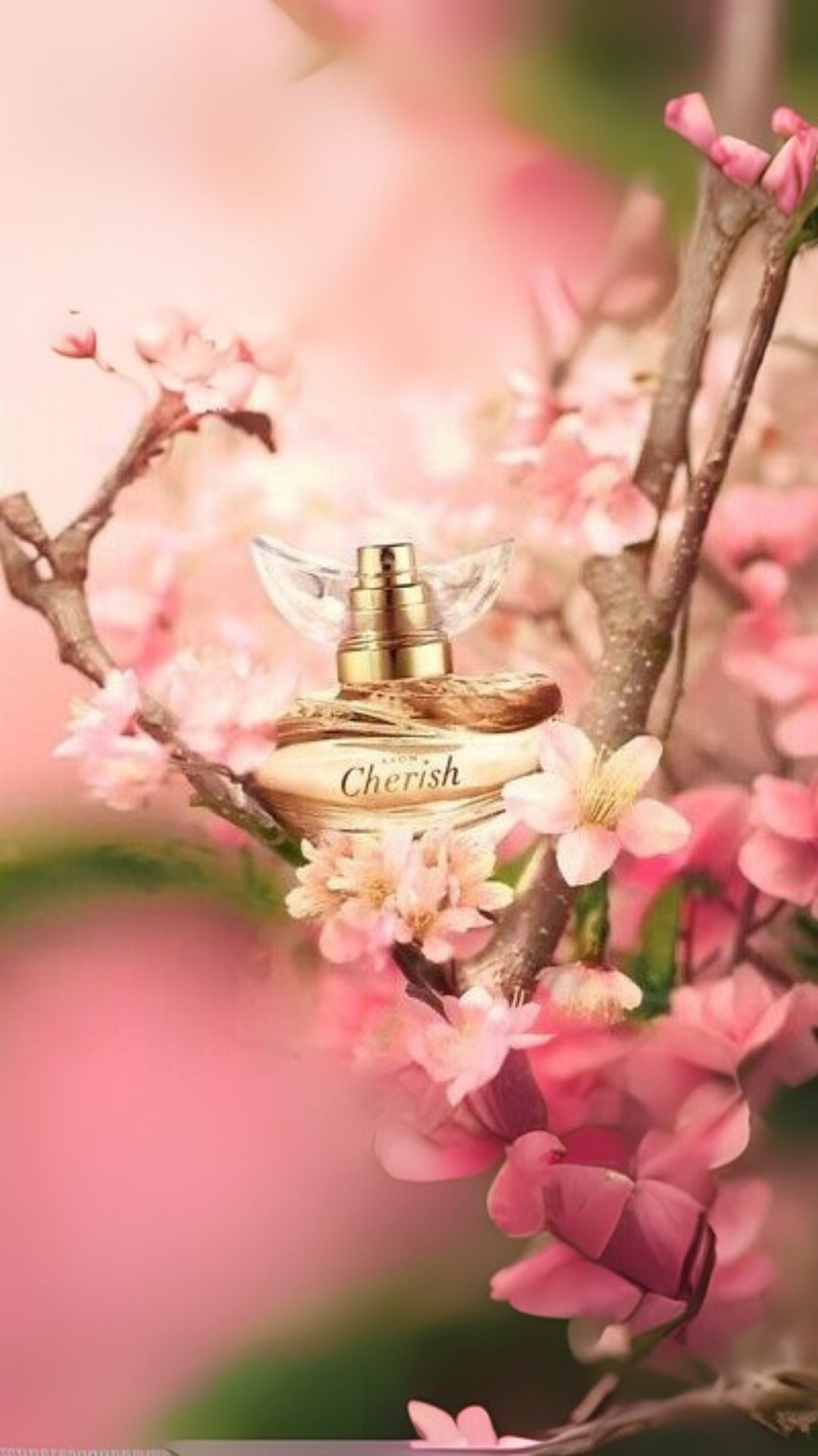 Kadın Parfüm Cherish - Değerli ve Özel EDP Esans