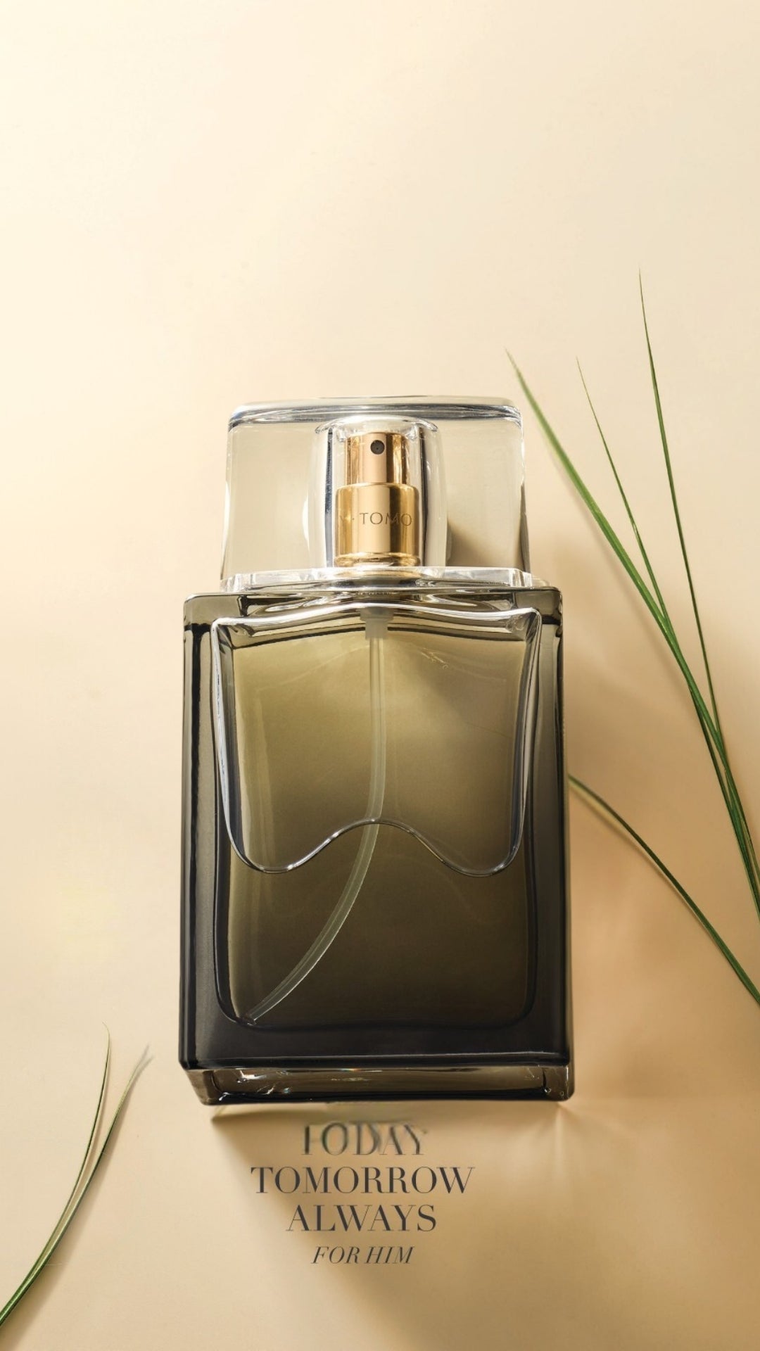 Erkek Parfüm TTA Today - Yoğun ve Kalıcı EDT Etkisi