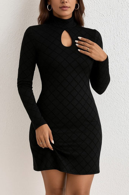 Kadın Uzun Kollu Damla Detay Flok Baskı Dalgıç Mini Elbise