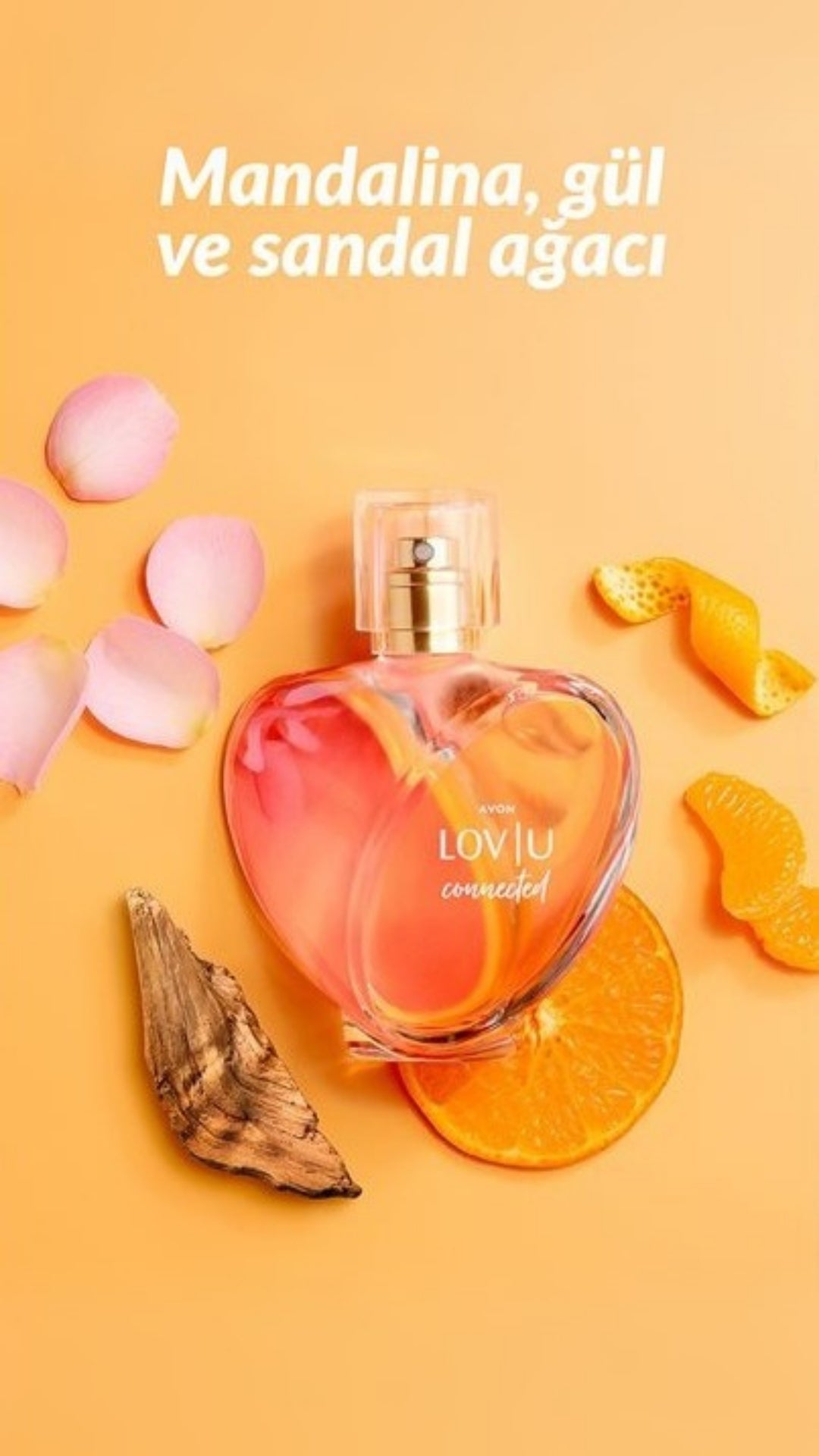 Kadın Parfüm Lov U Connected - Bağlılık ve Sevgi