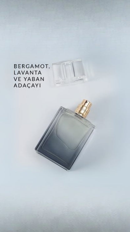 Erkek Parfüm TTA Today - Yoğun ve Kalıcı EDT Etkisi