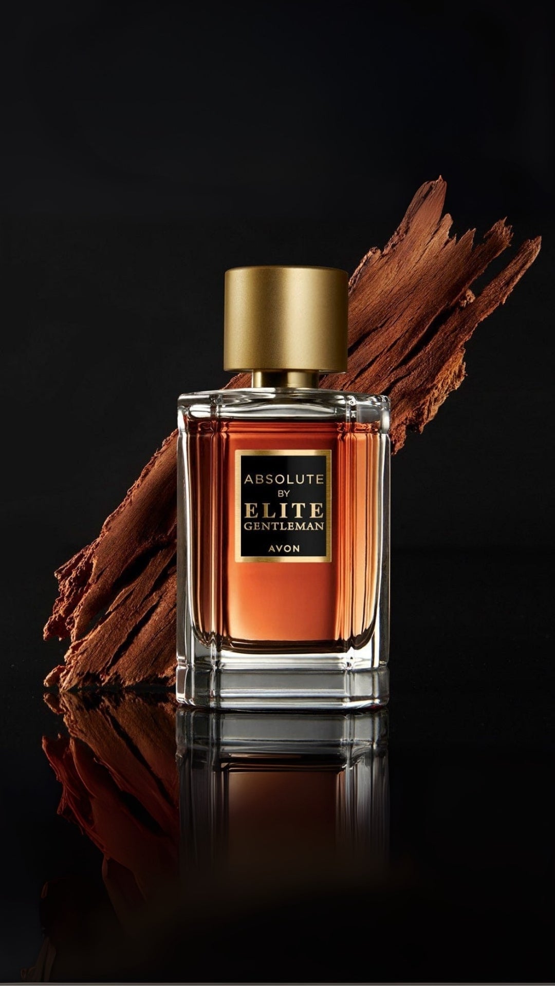 Elite Gentleman Absolute Erkek Parfüm - Mutlak Kalite