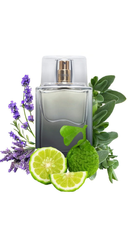 Erkek Parfüm TTA Today - Yoğun ve Kalıcı EDT Etkisi