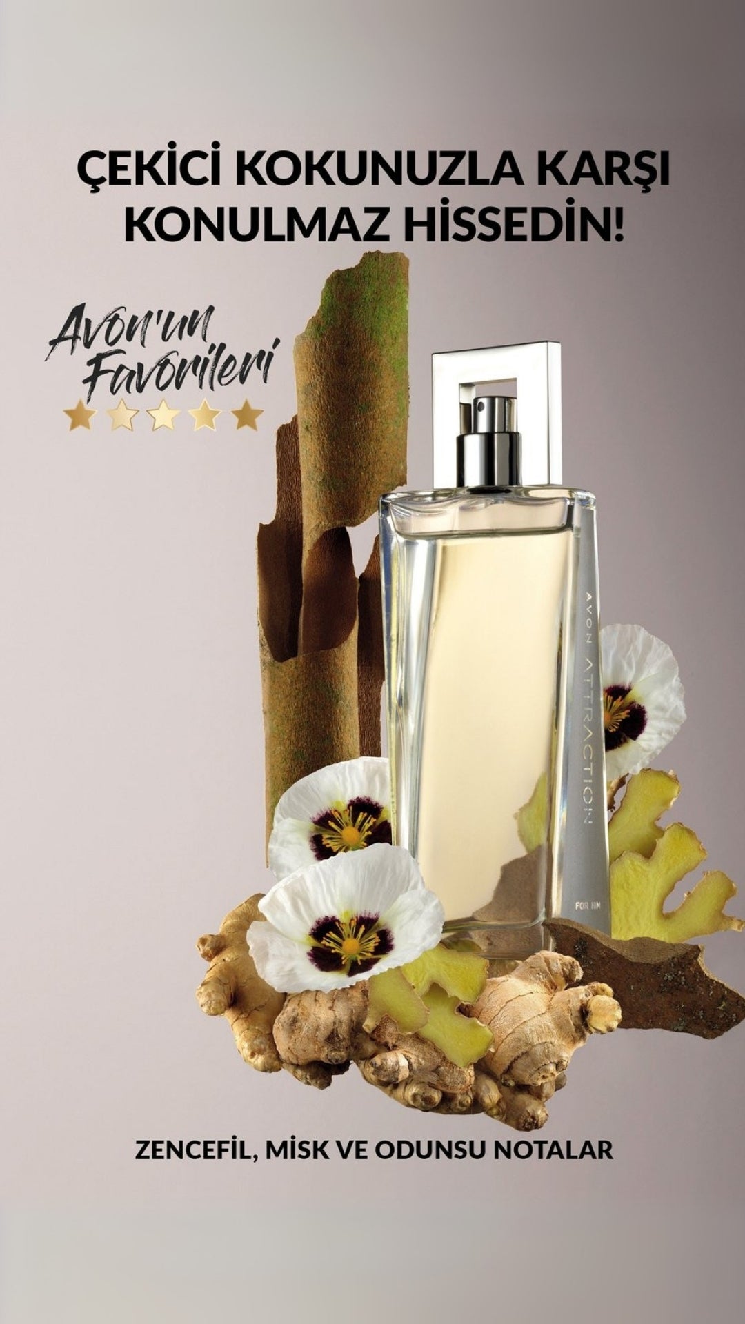 Erkek Parfüm Attraction - Günlük Ferah EDT