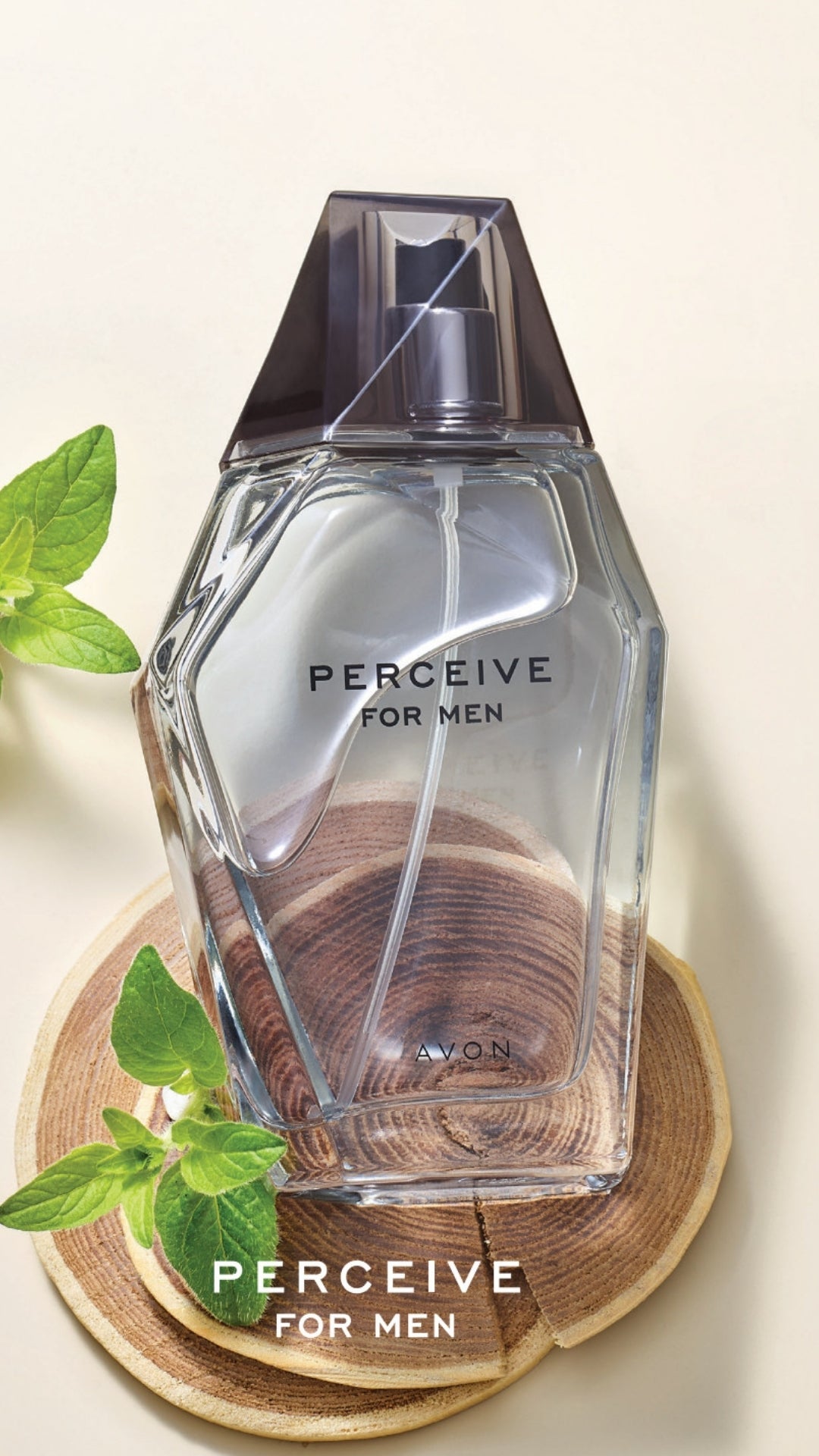 Erkek Parfüm Perceive